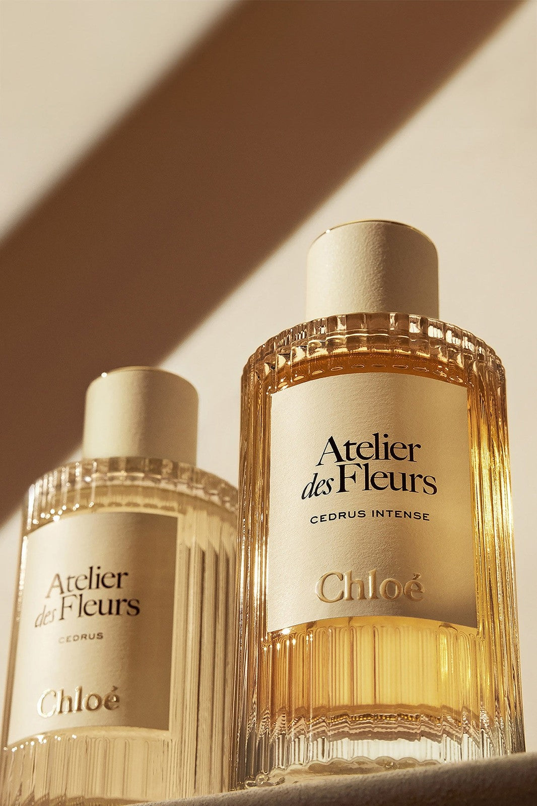 Chloe Atelier Des Fleurs Cedrus Intense EDP 150ML - Image 3