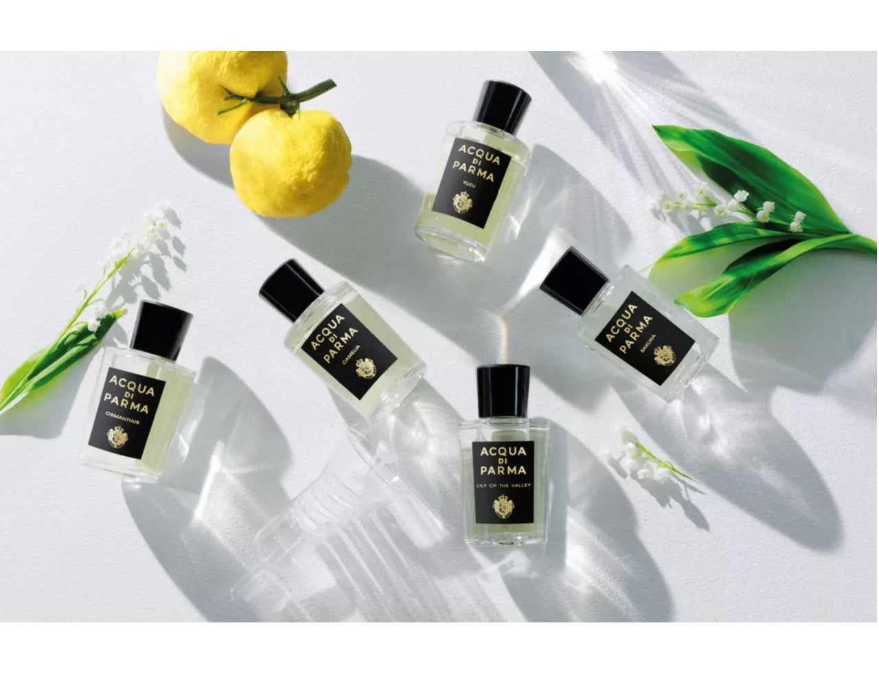 Acqua Di Parma Lily Of The Valley EDP 100 ml - Image 3